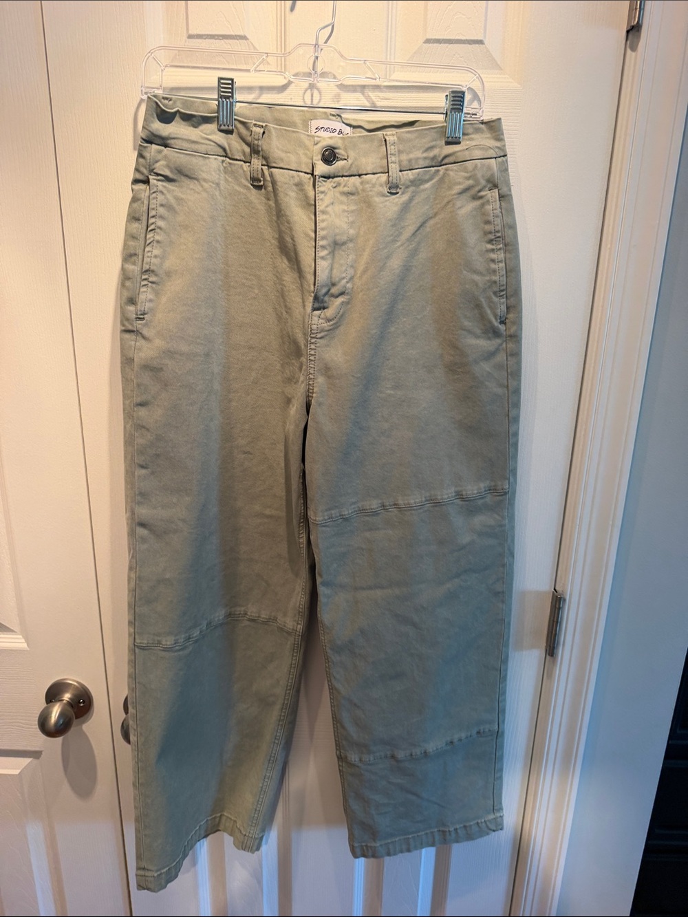 Studio Blue Wide Leg Pants in Light Olive